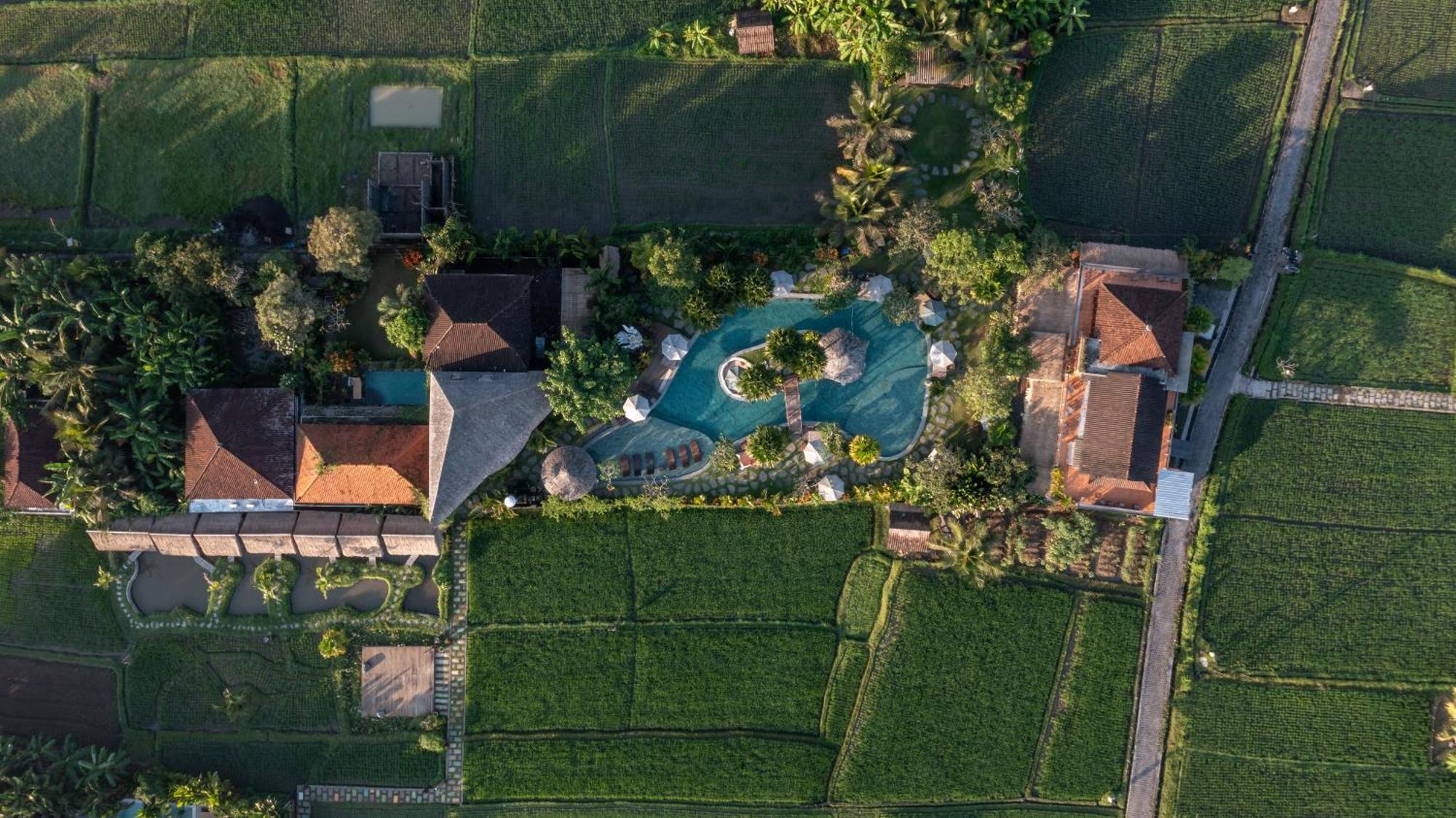Candy Villa By Pramana Villas Убуд Екстер'єр фото